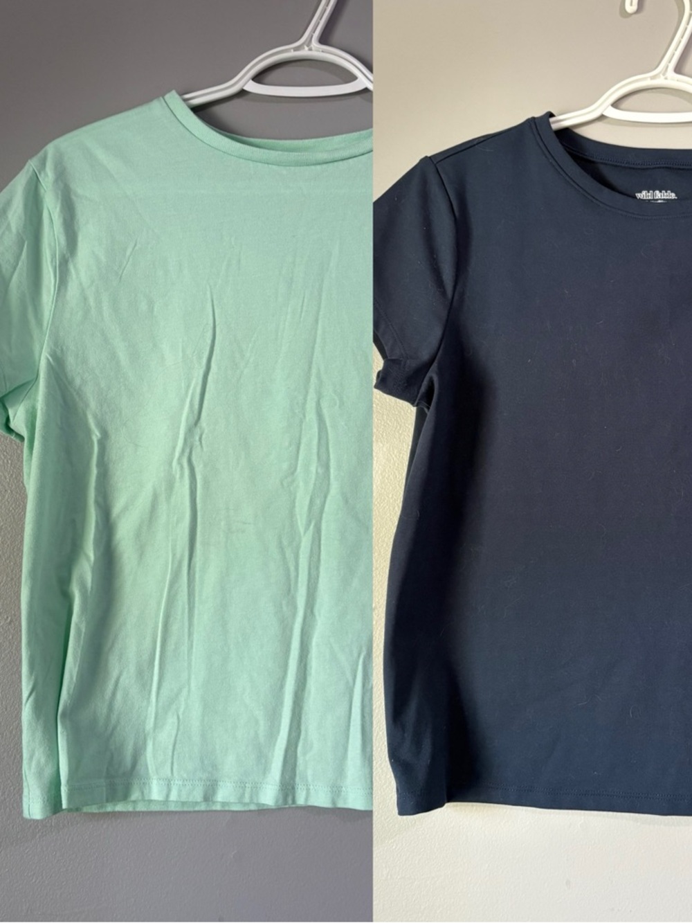 2 Wild Fable Butter Bliss Crop Tees